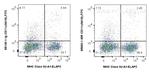 CD11c Antibody in Flow Cytometry (Flow)