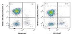 CD5 Antibody in Flow Cytometry (Flow)