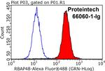 RBAP48 Antibody in Flow Cytometry (Flow)