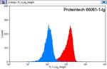 14-3-3 Antibody in Flow Cytometry (Flow)