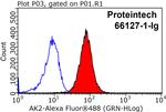 AK2 Antibody in Flow Cytometry (Flow)