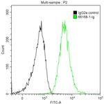 HBG1 Antibody in Flow Cytometry (Flow)