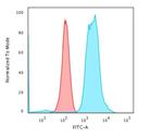 Fascin-1 (Reed-Sternberg Cell Marker) Antibody in Flow Cytometry (Flow)