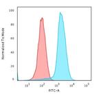 Fascin-1 (Reed-Sternberg Cell Marker) Antibody in Flow Cytometry (Flow)