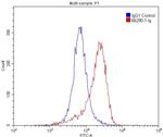 GLUT1 Antibody in Flow Cytometry (Flow)