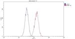 CD19 Antibody in Flow Cytometry (Flow)