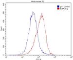 Vinculin Antibody in Flow Cytometry (Flow)