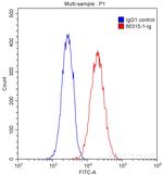 Integrin beta-1 Antibody in Flow Cytometry (Flow)