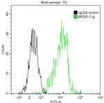Factor XIIIa Antibody in Flow Cytometry (Flow)