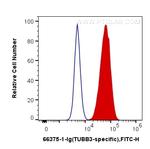 TUBB3 Antibody in Flow Cytometry (Flow)