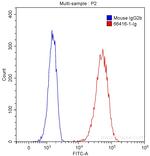 P2RX4 Antibody in Flow Cytometry (Flow)