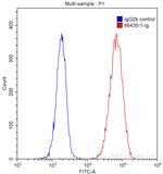 P2RX5 Antibody in Flow Cytometry (Flow)