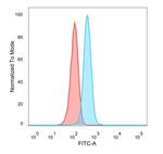 Superoxide Dismutase 1 (SOD1) (Antioxidant Enzyme) Antibody in Flow Cytometry (Flow)