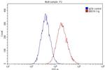 CD11B/Integrin alpha M Antibody in Flow Cytometry (Flow)