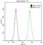 GRP78/BIP Antibody in Flow Cytometry (Flow)