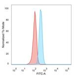 SOX4 (Master Regulator of Epithelial-Mesenchymal Transition) Antibody in Flow Cytometry (Flow)