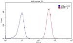CD57 Antibody in Flow Cytometry (Flow)