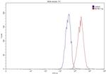 EPHA2 Antibody in Flow Cytometry (Flow)
