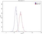 HLA-F Antibody in Flow Cytometry (Flow)