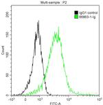 Phospho-Histone H3 (Ser10) Antibody in Flow Cytometry (Flow)