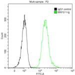 CDC25C Antibody in Flow Cytometry (Flow)