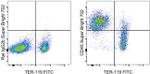 CD45 Monoclonal Antibody (30-F11), Super Bright™ 702, eBioscience™