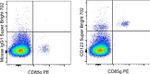 CD123 Monoclonal Antibody (6H6), Super Bright™ 702, eBioscience™