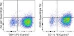CD133 (Prominin-1) Monoclonal Antibody (13A4), Super Bright™ 702, eBioscience™