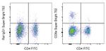 CD8a Antibody in Flow Cytometry (Flow)