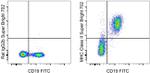 MHC Class II (I-A/I-E) Monoclonal Antibody (M5/114.15.2), Super Bright™ 702, eBioscience™