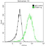Endothelin 1 Antibody in Flow Cytometry (Flow)