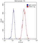 IL-4R Antibody in Flow Cytometry (Flow)