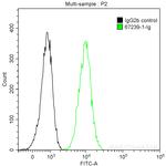 CDC27/APC3 Antibody in Flow Cytometry (Flow)