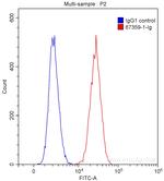 RALBP1 Antibody in Flow Cytometry (Flow)