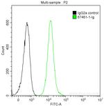 Arfaptin-1 Antibody in Flow Cytometry (Flow)