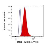 RHOC Antibody in Flow Cytometry (Flow)