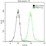 DIS3L2 Antibody in Flow Cytometry (Flow)