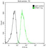 CD24 Antibody in Flow Cytometry (Flow)