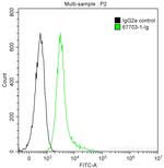 ITK Antibody in Flow Cytometry (Flow)