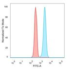 STAT6 (Solitary Fibrous Tumor Marker) Antibody in Flow Cytometry (Flow)