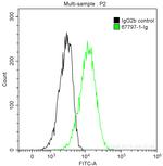 MFG-E8 Antibody in Flow Cytometry (Flow)