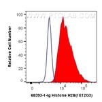 Histone H2B Antibody in Flow Cytometry (Flow)