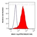 ATP6V1B2 Antibody in Flow Cytometry (Flow)