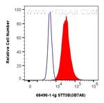 STT3B Antibody in Flow Cytometry (Flow)