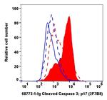 Cleaved Caspase 3 p17 Antibody in Flow Cytometry (Flow)