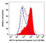 Cleaved Caspase 3 p17 Antibody in Flow Cytometry (Flow)