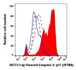 Cleaved Caspase 3 p17 Antibody in Flow Cytometry (Flow)