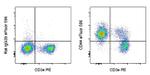 CD44 Monoclonal Antibody (IM7), eFluor™ 506, eBioscience™