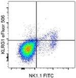 KLRG1 Monoclonal Antibody (2F1), eFluor™ 506, eBioscience™