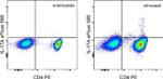 IL-17A Monoclonal Antibody (eBio64DEC17), eFluor™ 506, eBioscience™